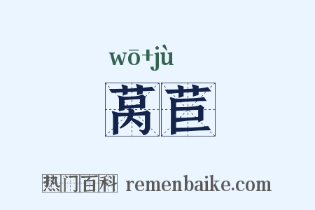 莴苣是什么意思的图片